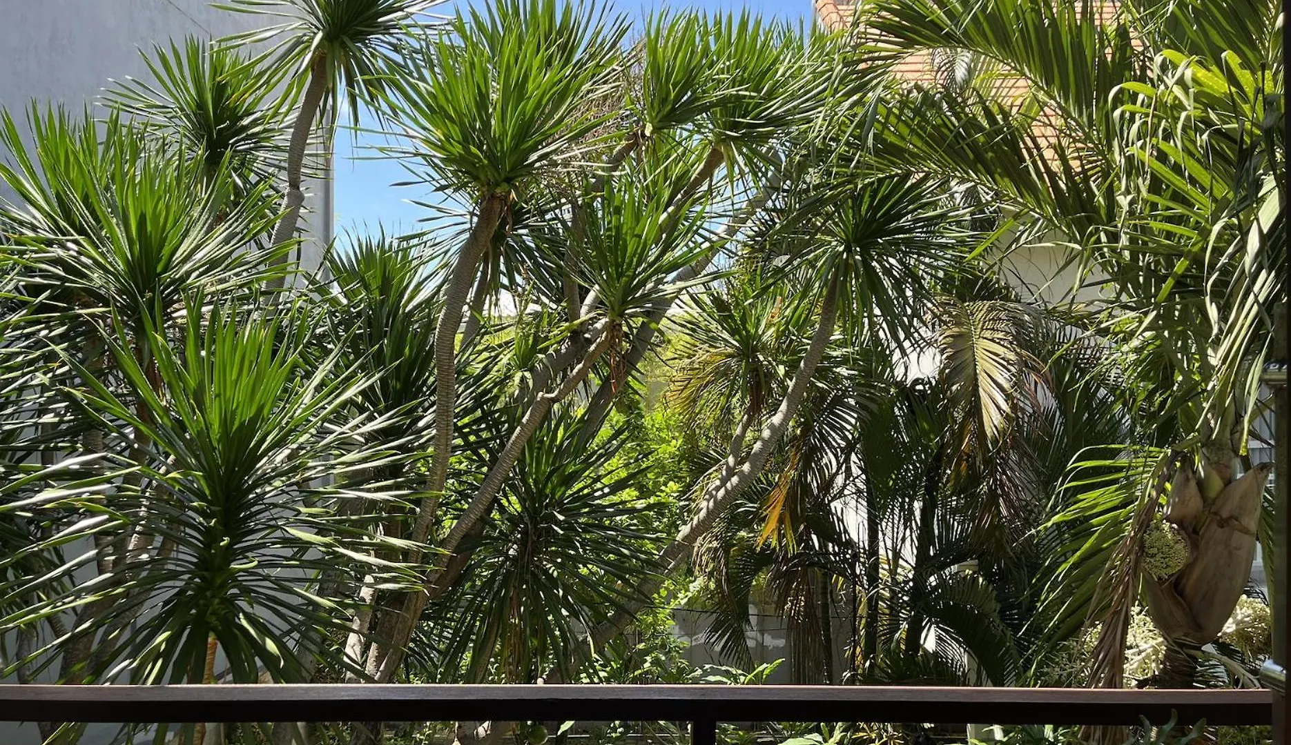 Tropical Studio Room In Seminyak