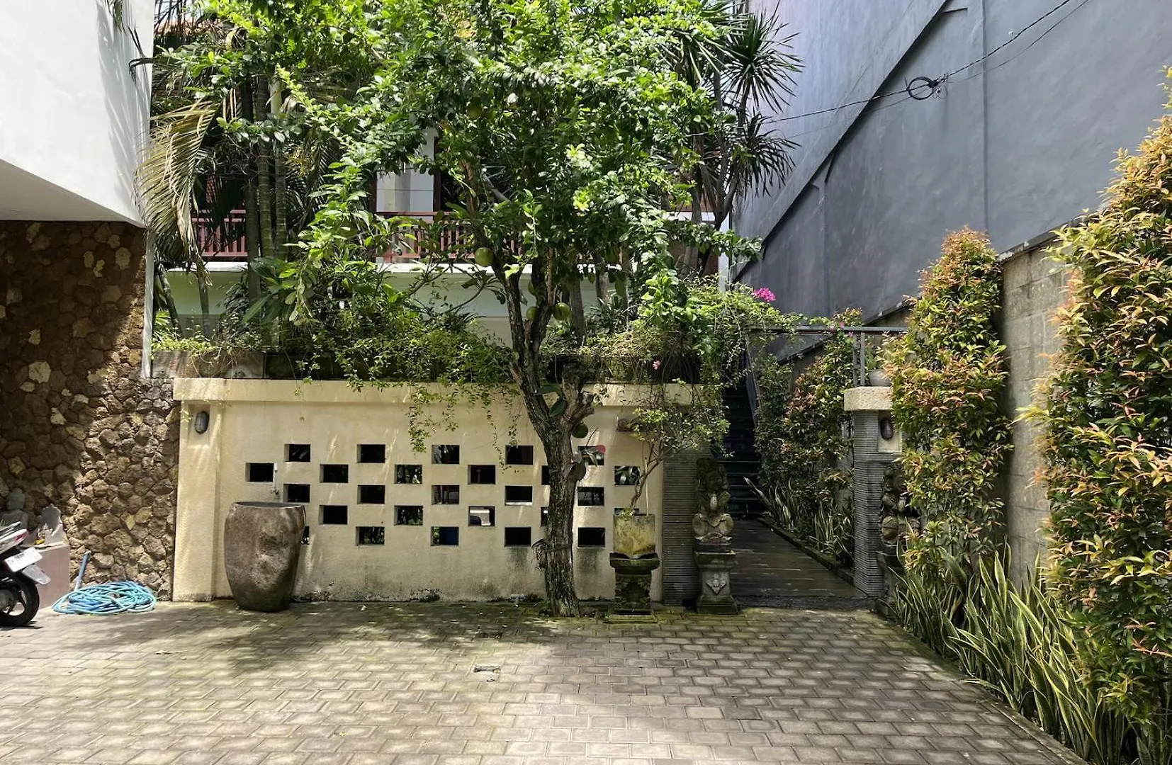 Tropical Studio Room In Seminyak